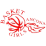 安科纳U19