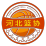河北女篮