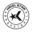 克里奥尔之星