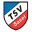 TSV沙塞尔